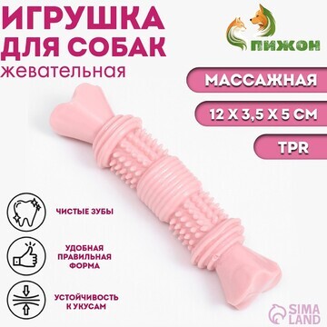 Игрушка для собак Пижон