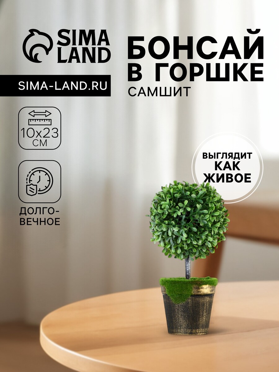 

Бонсай в горшке, Зеленый