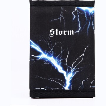 Кошелек storm на липучке, 11,5х8х1 см