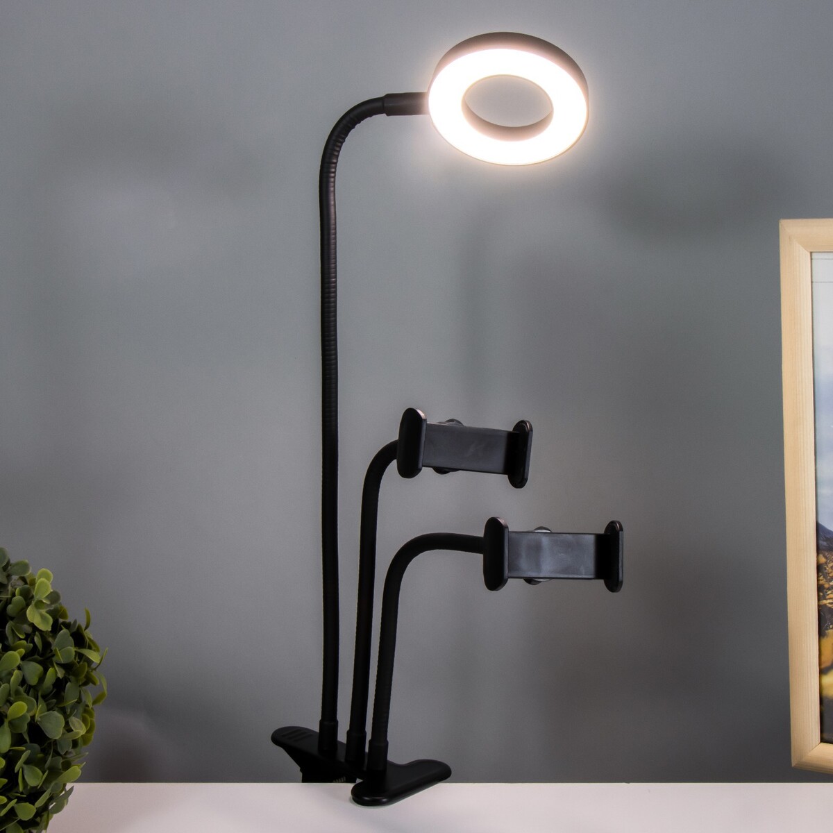 

Настольная лампа октопус led usb черный 9х63 см risalux