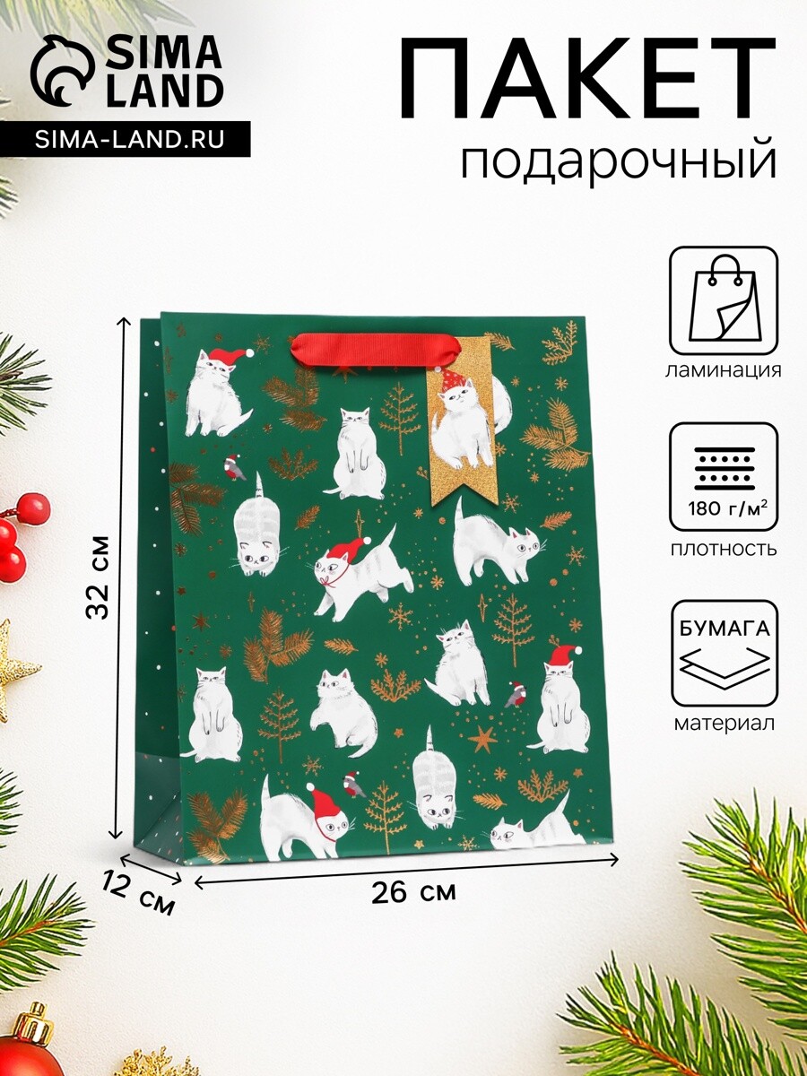 

Пакет подарочный новогодний ламинированный, Разноцветный