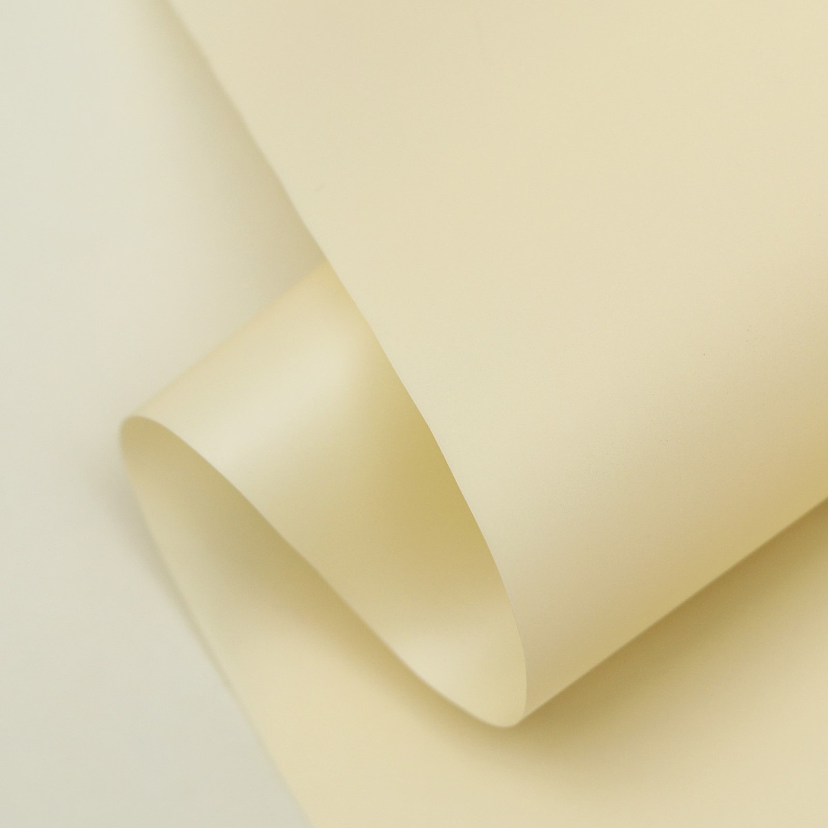 

Пленка матовая для цветов и букетов, pastel, крем 0.59×7 м 180 г, Бежевый