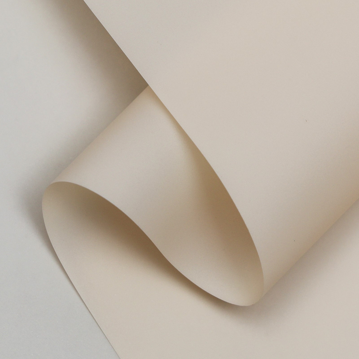 

Пленка матовая для цветов и букетов, pastel, нежно-персиковый 0.59×7 м 180 г, Бежевый