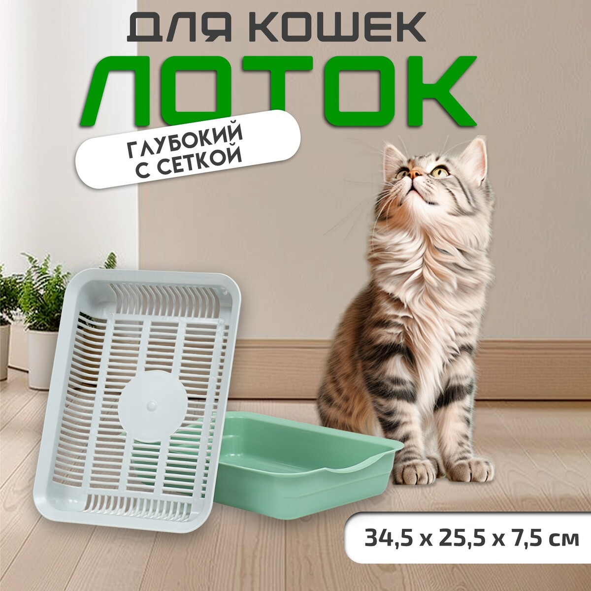 

Лоток с сеткой 34,5 х 25,5 х 7,5 см, серый/оливковый, Серый;зеленый