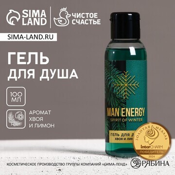 Новый год. гель для душа man energy, 100