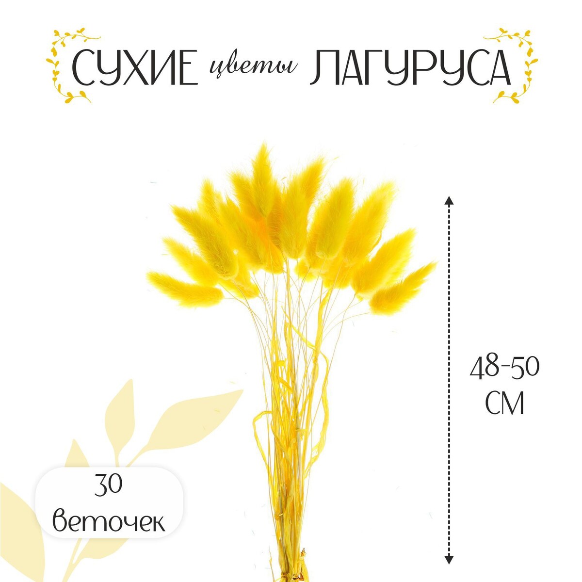 Сухие цветы лагуруса, набор 30 шт., цвет желтый