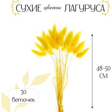 Сухие цветы лагуруса, набор 30 шт., цвет