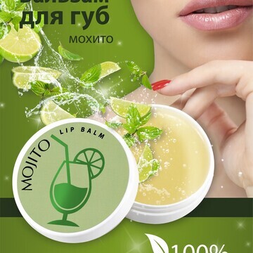 Бальзам для губ Lip balm Mojito