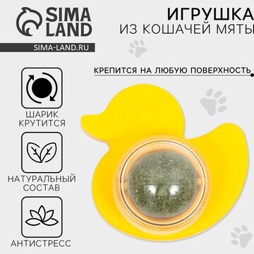 Игрушка для кошек