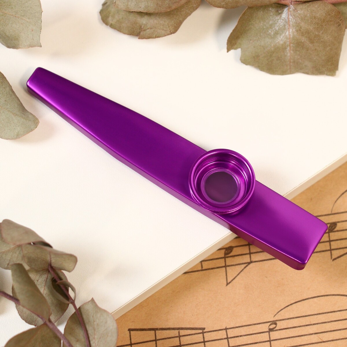 Музыкальный инструмент казу music life, фиолетовый музыкальный инструмент гуиро music life деревянный