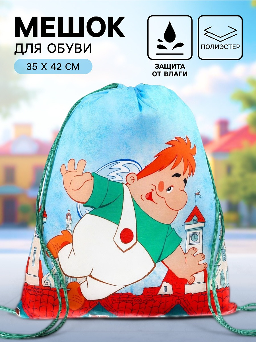 

Мешок для обуви 420×350 мм, Зеленый;голубой