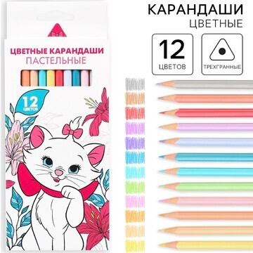 Цветные карандаши пастельные, 12 цветов,