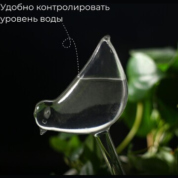 Автополив для комнатных растений