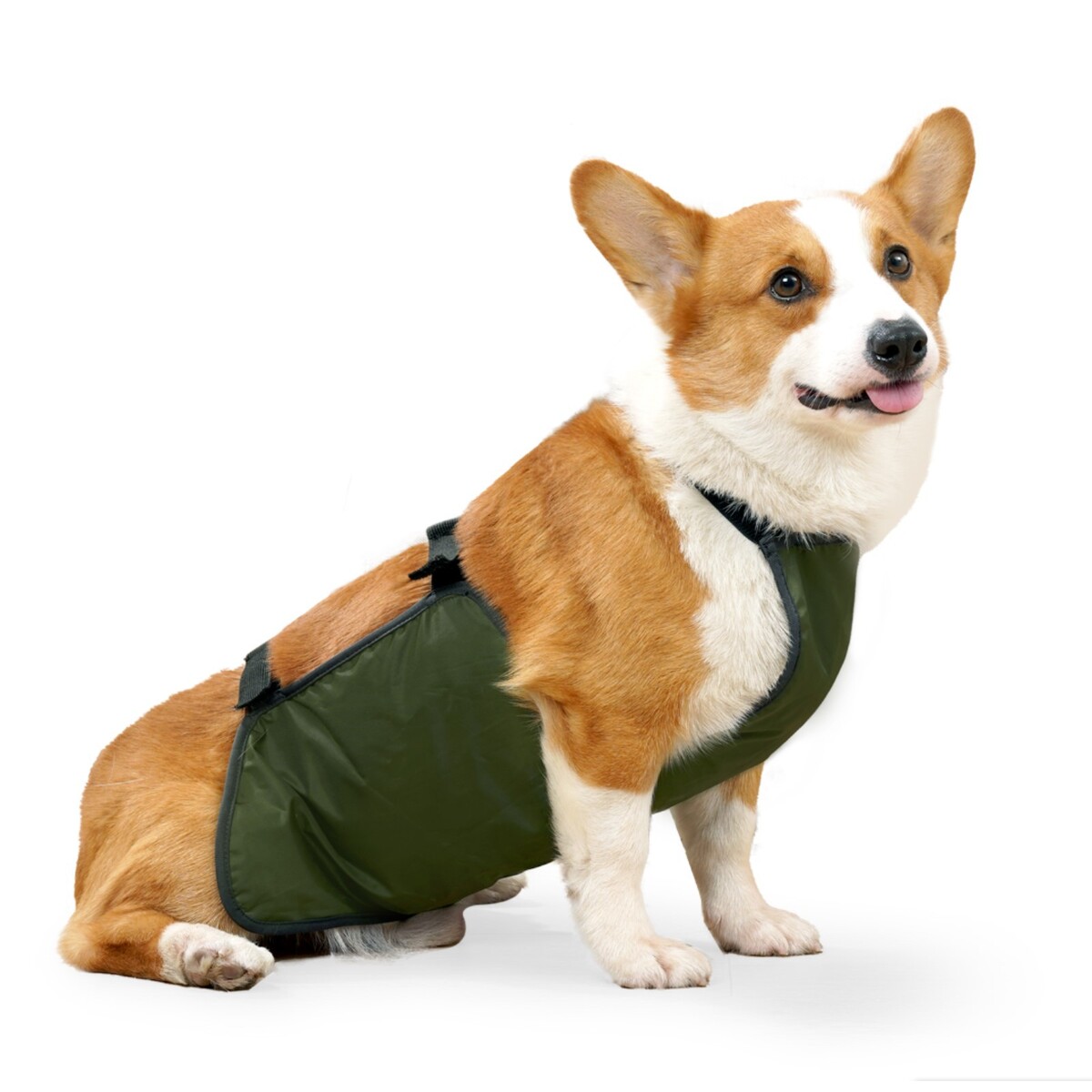 фото Нагрудник послеоперационный для собак весом 15-23 кг, размер xl (ог 50, от 50 см), зеленый пижон