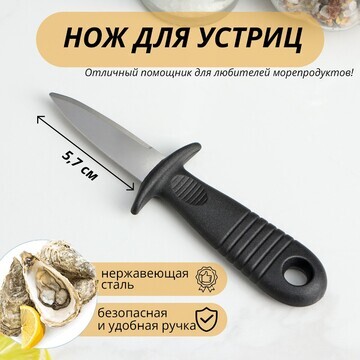 Нож для устриц доляна, 14×4,4 см, длина 