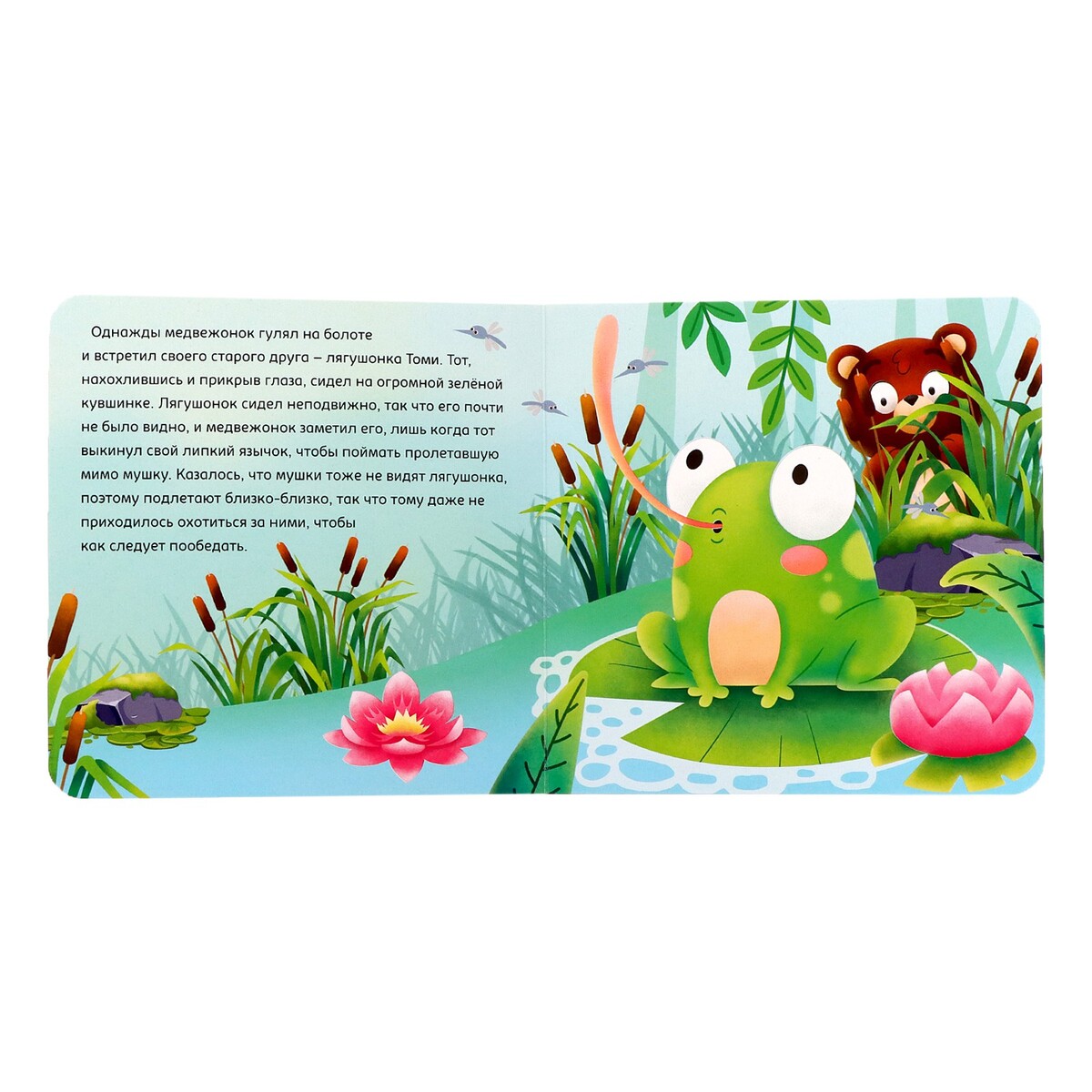 

Книга картонная, Разноцветный