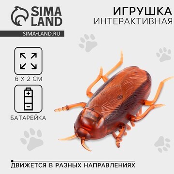 Интерактивная игрушка для кошек