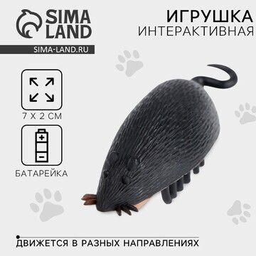 Интерактивная игрушка для кошек