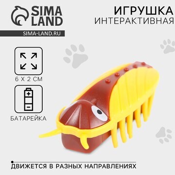 Интерактивная игрушка для кошек