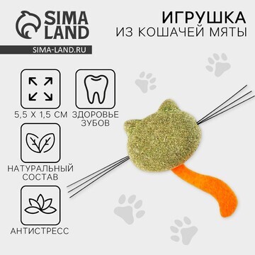 Игрушка для кошек