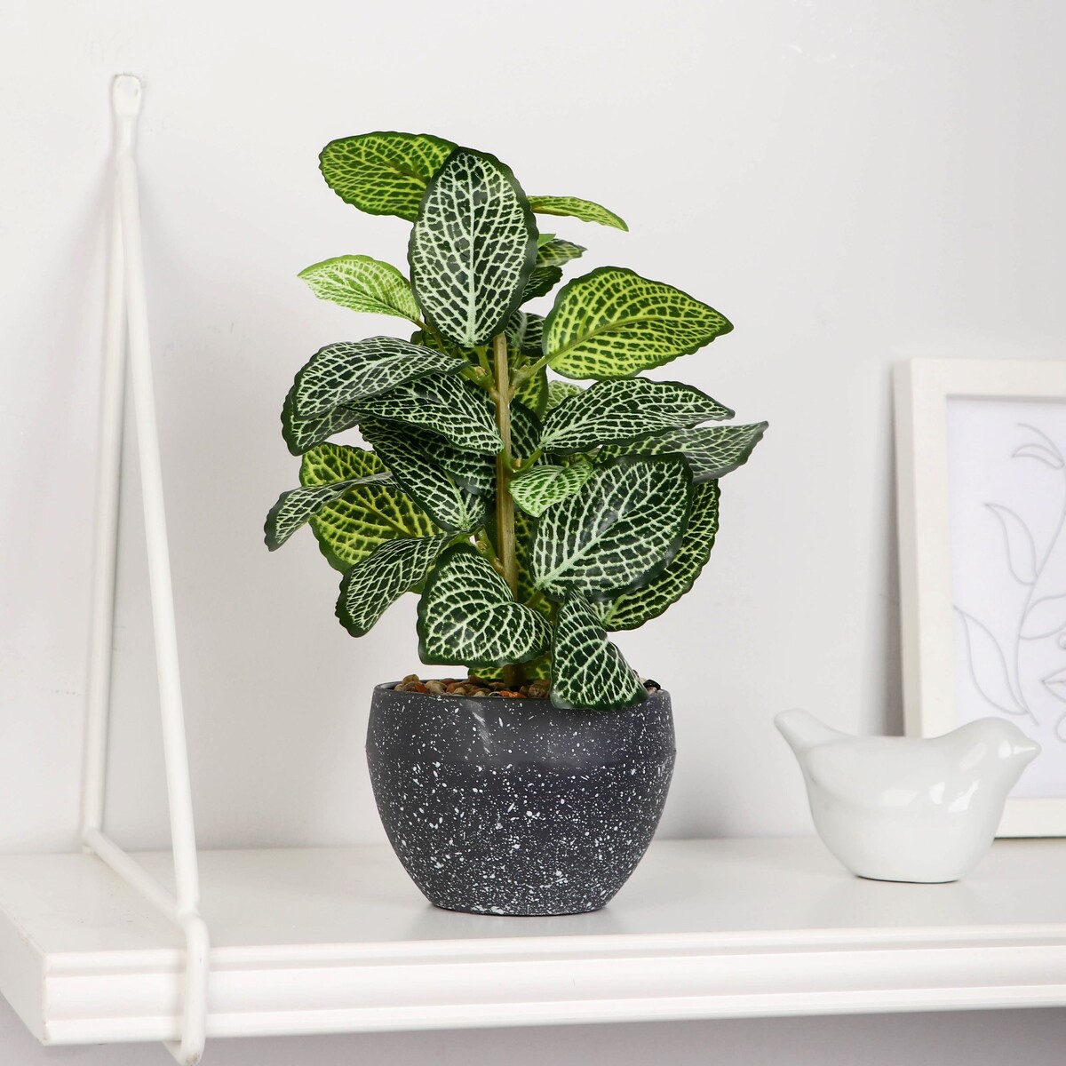 

Бонсай в горшке, Зеленый