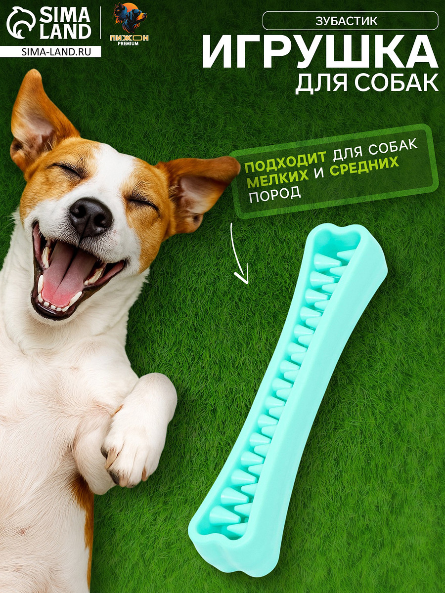 

Игрушка-зубочистка для собак пижон premium, Бирюзовый