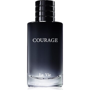 Парфюмерная вода для мужчин «Courage»