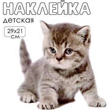 Наклейка 3д интерьерная котик 29*21см