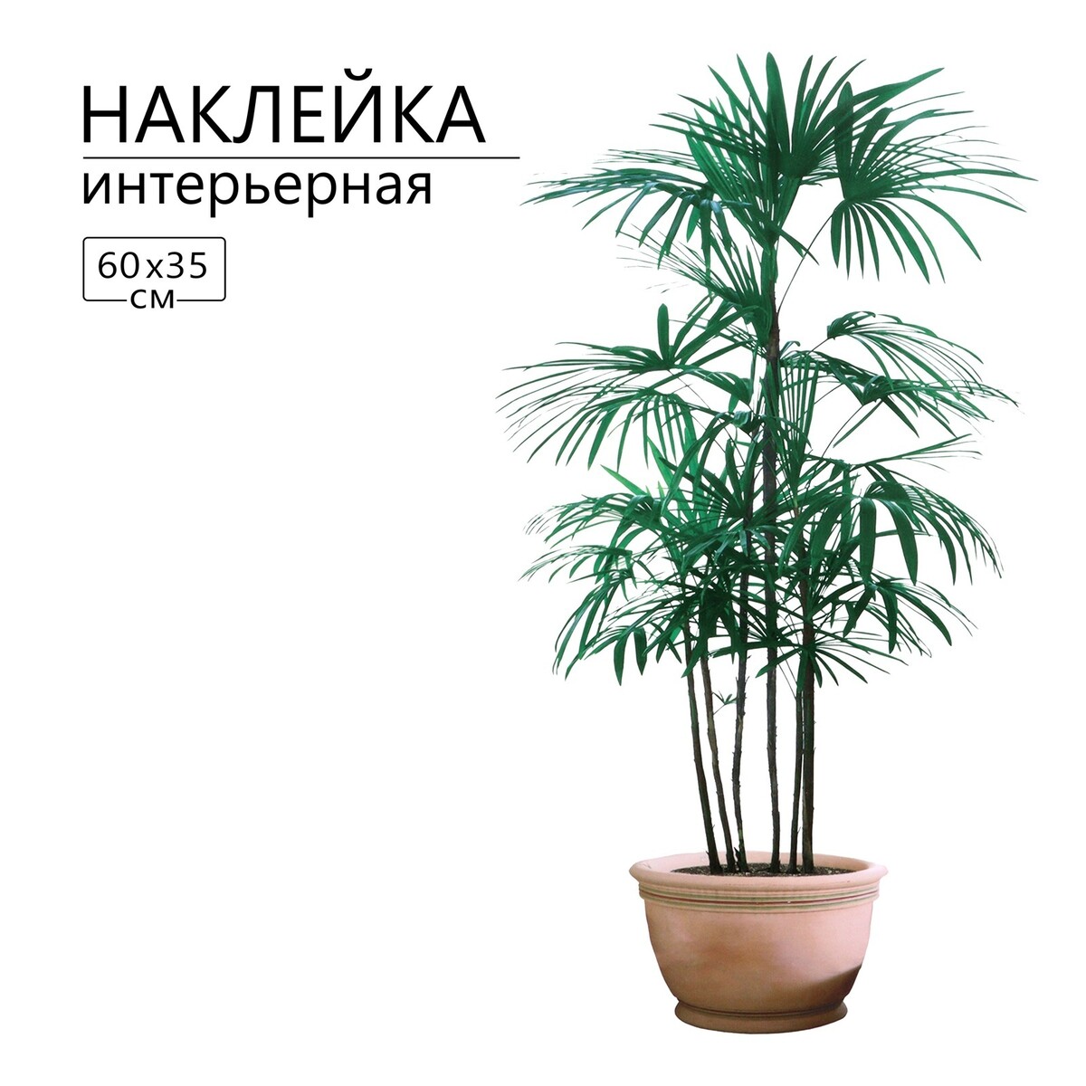 Наклейка 3д интерьерная драконово дерево 60*35см TAKE IT EASY