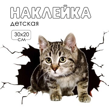 Наклейка 3д интерьерная котик 30*20см