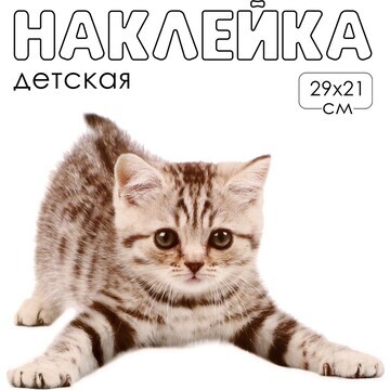 Наклейка 3д интерьерная котик 29*21см