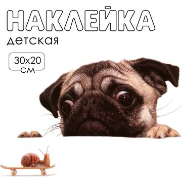 Наклейка 3д интерьерная собака 30*20см