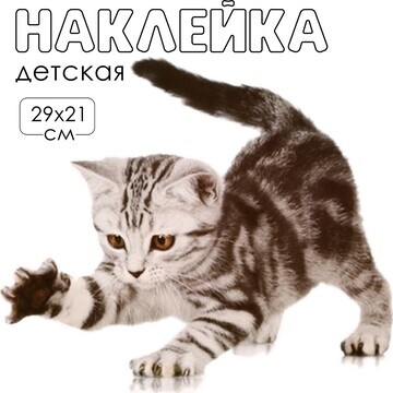 Наклейка 3д интерьерная котик 29*21см