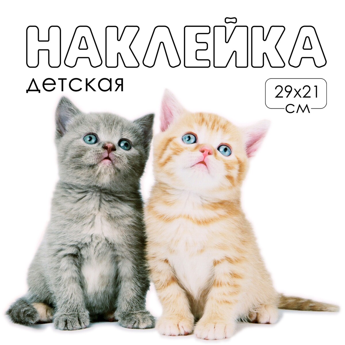 Наклейка 3д интерьерная котики 29*21см TAKE IT EASY