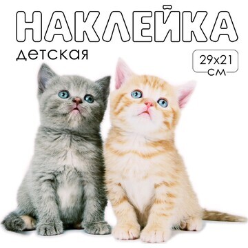 Наклейка 3д интерьерная котики 29*21см