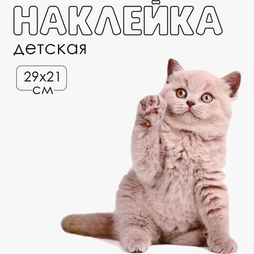 Наклейка 3д интерьерная котик 29*21см