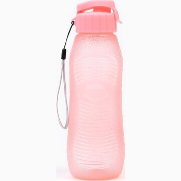 Бутылка для воды, 600 мл, 23 х 6.6 см, р