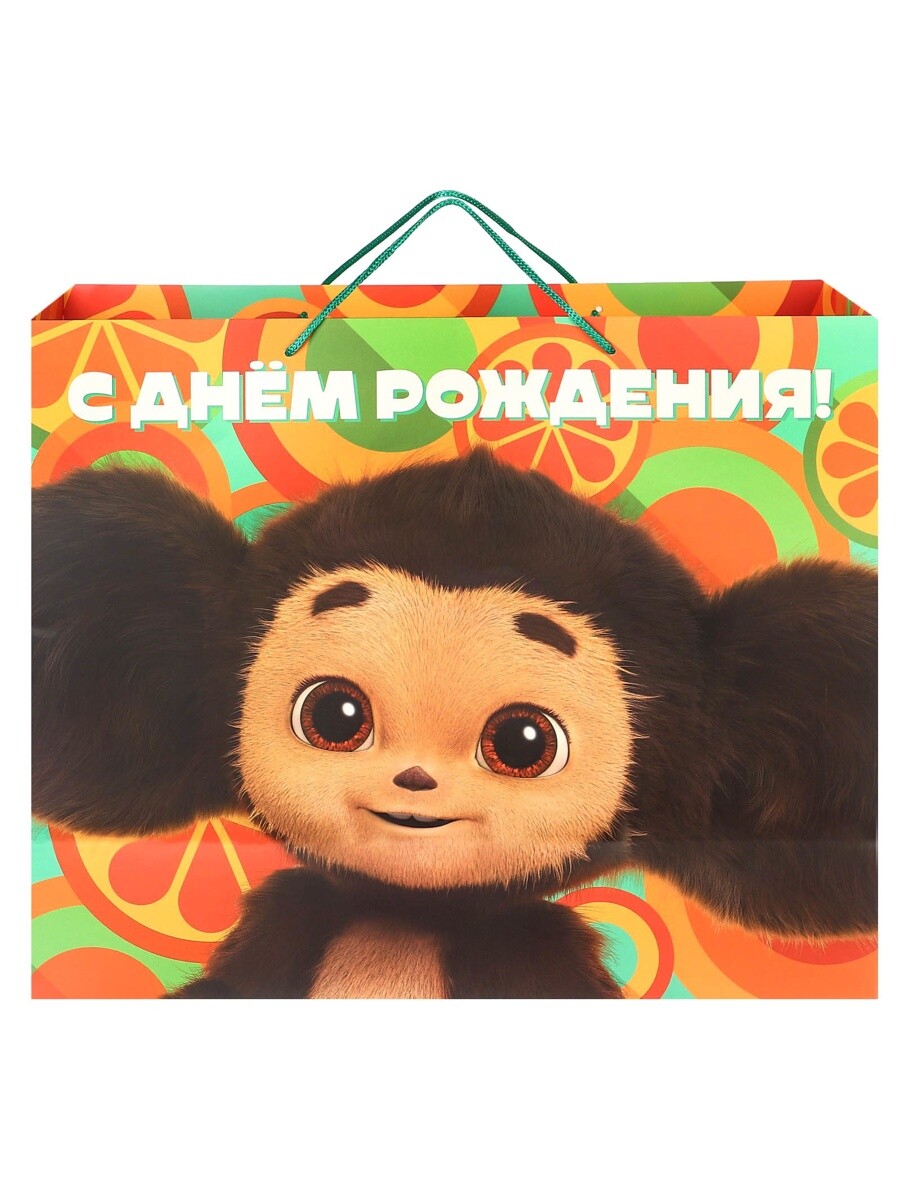 

Пакет подарочный, Оранжевый;зеленый;коричневый