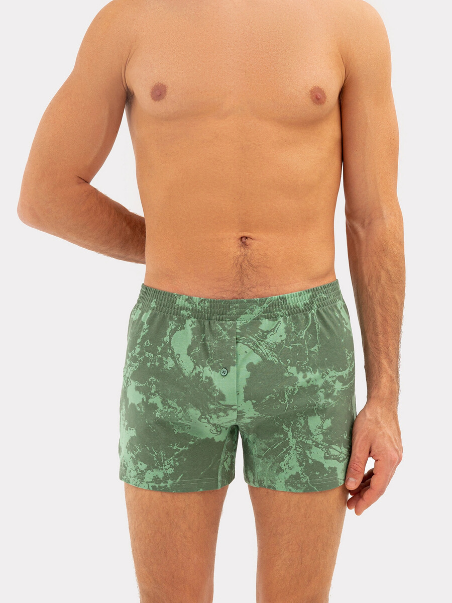 Трусы мужские шорты в зеленые с принтом зеленые технологии в современном окусковании