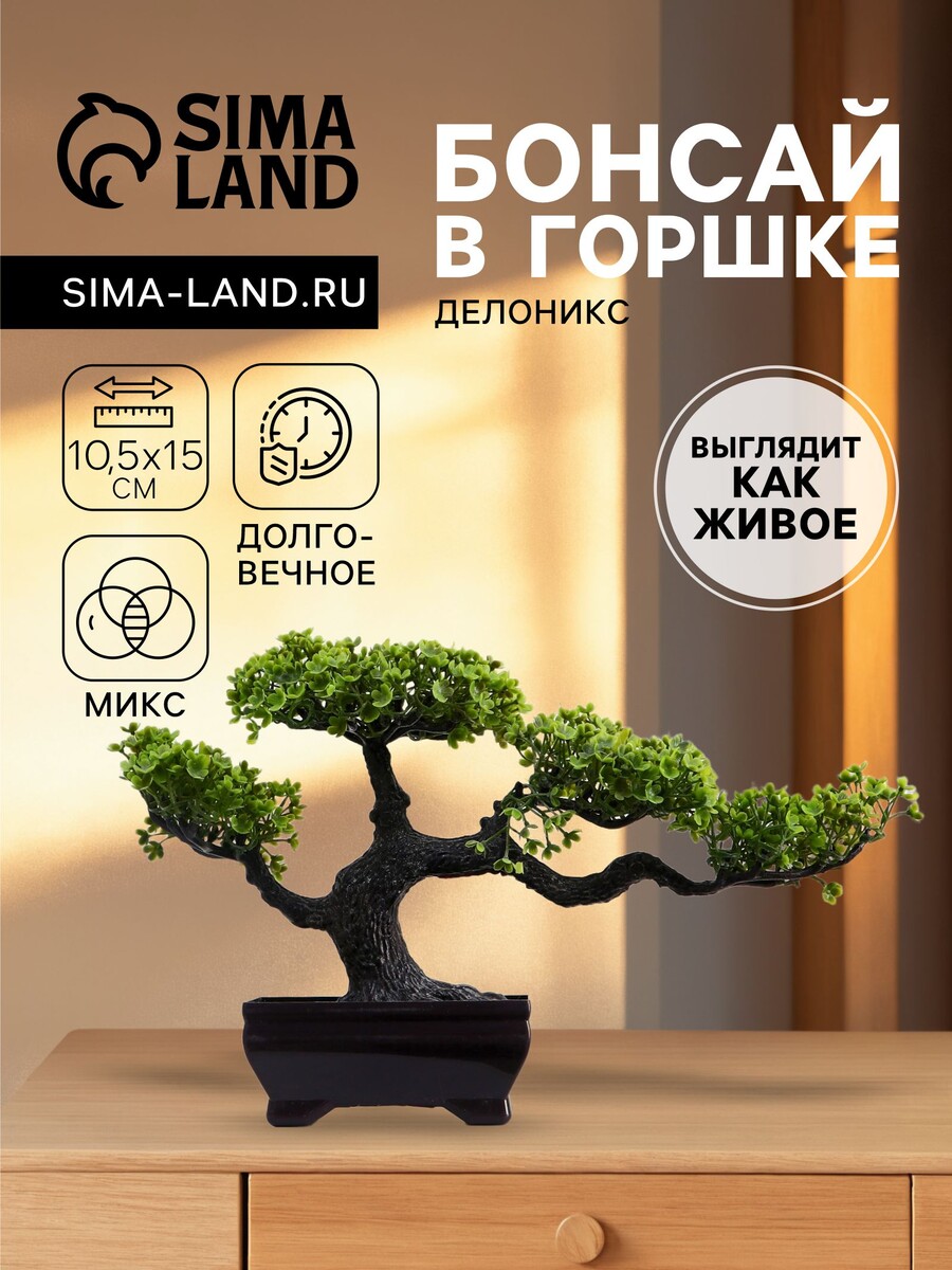 

Бонсай в горшке, Зеленый