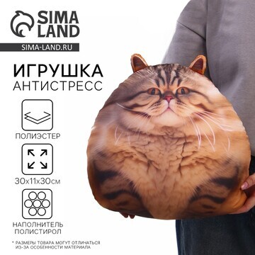 Игрушка антистресс