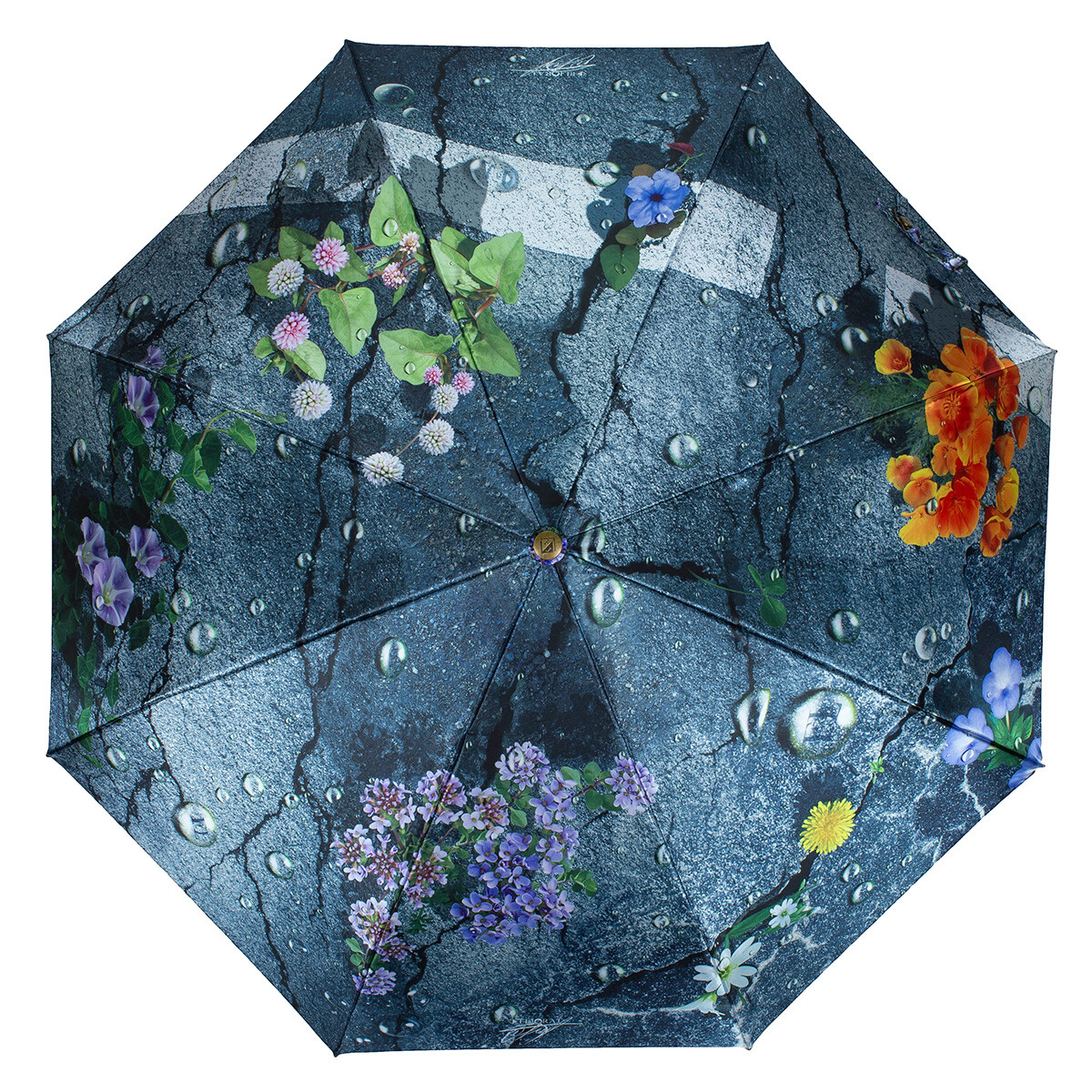 Зонт Flioraj, цвет серый