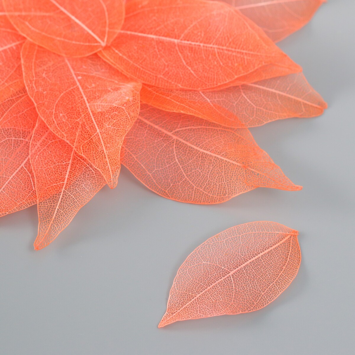 Листья скелетированные для творчества лиана кленовые листья 80 см