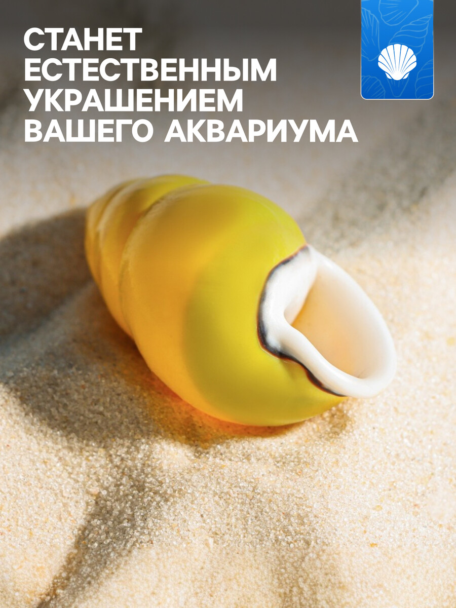 

Ракушка декоративная, 4-5 см, Желтый