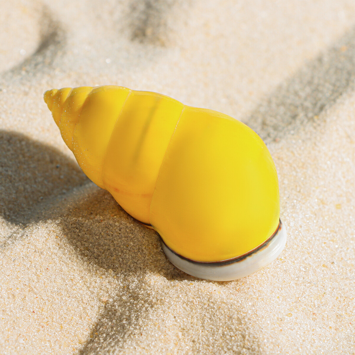 Ракушка декоративная, 4-5 см Пижон Аква, цвет желтый 08847672 - фото 2