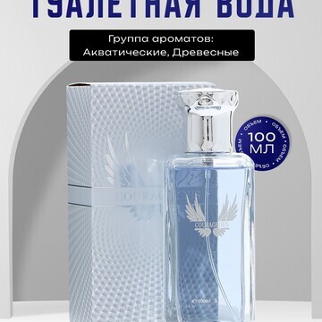 Туалетная вода мужская courageous, 100 м