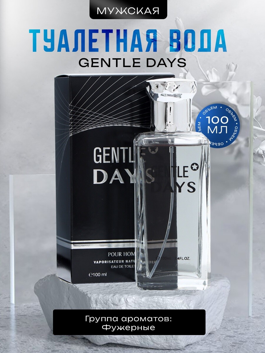 

Туалетная вода мужская gentle days, 100 мл