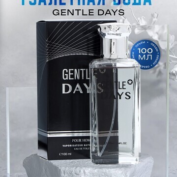 Туалетная вода мужская gentle days, 100 