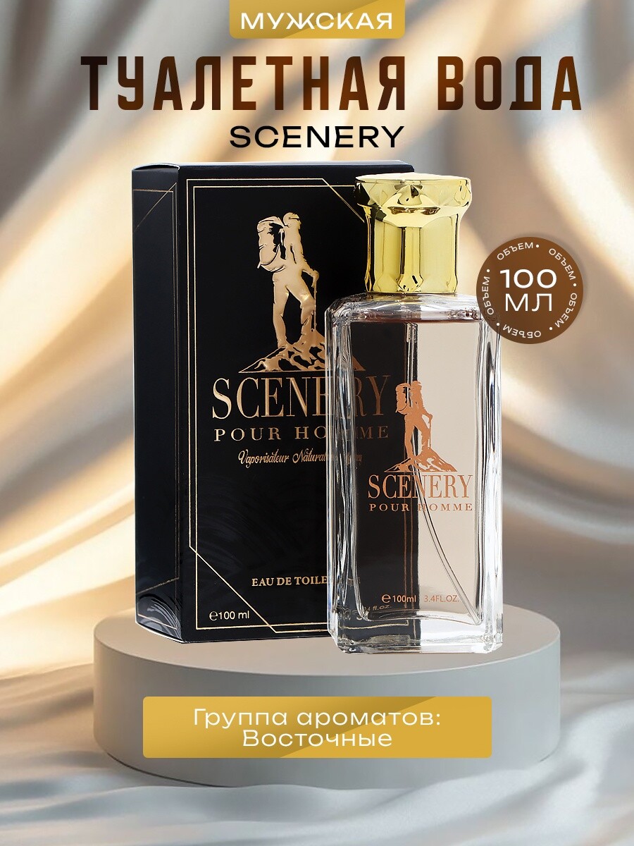 

Туалетная вода мужская scenery, 100 мл