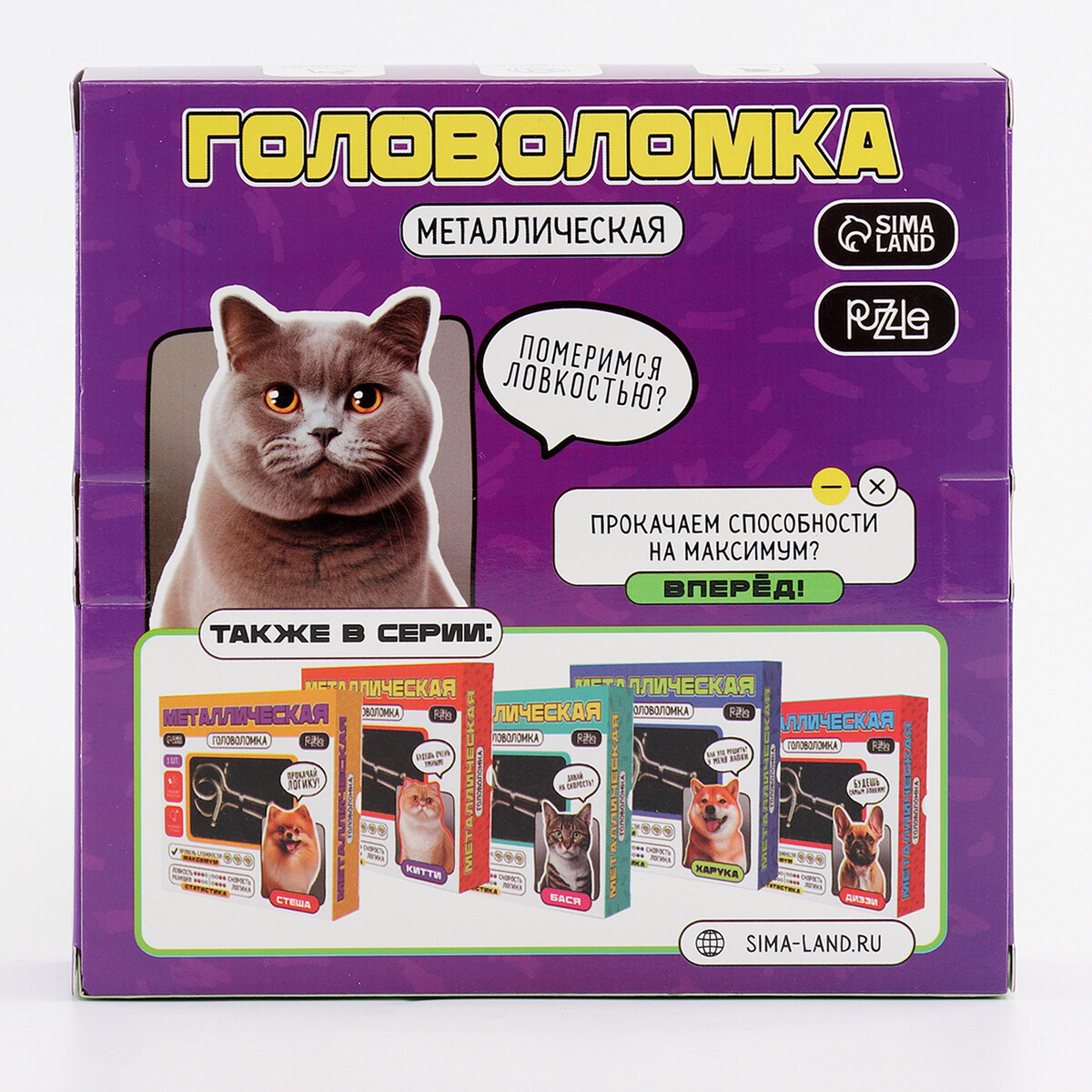 Головоломка металлическая Puzzle 200₽